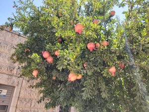 img 20250622 wa0027