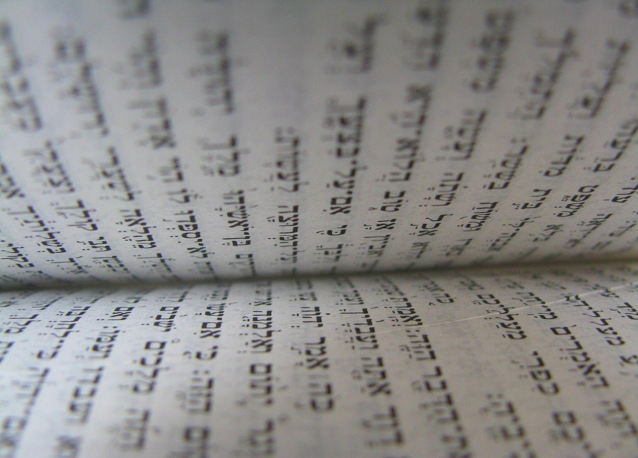 torah, bible, inside, religion, hebrew, book, judaism, religious, history, ancient, god, holy, design, text, paper, parchment, tradition, culture, sacred, spirituality, law, biblical, prayer, star, traditional, script, open, word, page, christianity, study, belief, read, christ, gospel, testament, scripture, studying, learning, jesus, education, wisdom, truth, believe, guidance, chapter, passage, inspiration, knowledge, gray book, gray books, gray education, gray paper, gray learning, gray reading, gray study, gray stars, gray bible, gray god, gray history, gray law, gray studying, gray prayer, gray culture, gray knowledge, gray inspiration, torah, torah, torah, torah, torah, hebrew, hebrew, judaism